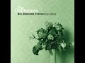 Not Nineteen Forever (Acoustic)