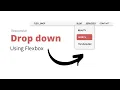 Dropdown Navigation Menu bar Using Flexbox in Hindi