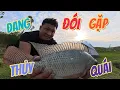 Lagu Tát Vét Ao Hoang Ở Sông Bắt Được Thủy Quái / Chuyện Của Đại