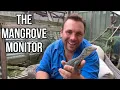 The Mangrove Monitor
