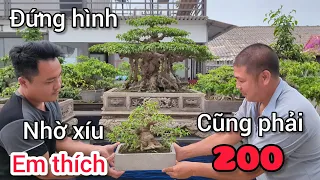 anh b n tr ng h nh tr c si u ph m mini si u vip gi 200 tri u c nh t t i v n phan trung