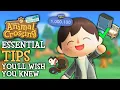 Download Lagu Must Know Tips I Wish I Knew Sooner - Animal Crossing?New Horizons