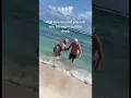 Download Lagu Shark attacks unsuspecting tourist on Mexico beach #SHORTS￼