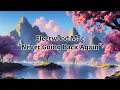 Fleetwood Mac - "Never Going Back Again" (2004 Remaster) HQ/With Onscreen Lyrics!