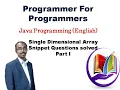 Solved Snippet questions on Single Dimensional Array in Java 1
