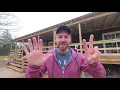 7 Mistakes to Avoid When Converting a Shed into a House