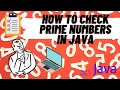 java program to print prime numbers between 1 to 50 how to check prime numbers in java