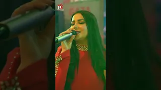                                                                          دندنها