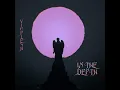 In the Depth - Vioflesh