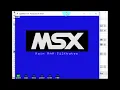MSX-C sorting algorithms experiments with an ancient 8 bit computer UNIVESP Eng da Computacao