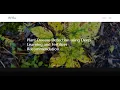 Plant Disease Detection using Deep Learning and Fertilizer Recommendation Python IEEE Project 2025