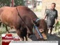 Download Lagu KABAR PAGI JATIM: Selasa, 6 September 2016 - tvOne Surabaya