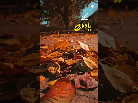Ajnabi Shehar Ke Ajnabi Raste | Salman Alvi | Short | Status Video | 90s Hit Song