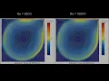 Oscillatory Flow in a Lid-Driven Cavity Comparison of Re 9300 with Re 10000