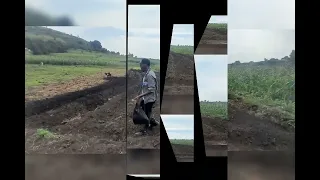 Godina Harargee Lixaa Aanaa Doobbaa Araddaa Urjii Tti Sochii Dandaamanna Hoongeetiif Godhame Dha 