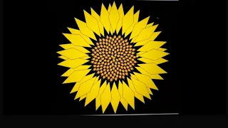 How to make Sunflower using Python Turtle