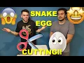 Ball Python Egg Cutting FT Lord Elion