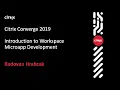 Citrix Converge 2019 - Introduction to Workspace Microapp Development