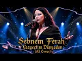 Şebnem Ferah - Vazgeçtim Dünyadan (AI Cover) 🎸