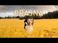 Download Lagu Faraon - Prajna #DeepShineRecords