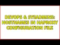 DevOps SysAdmins Hostnames in HAProxy configuration file 2 Solutions