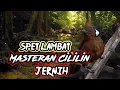 Download Lagu Masteran Burung Cililin Jernih Speed Lambat #Cililin gacor