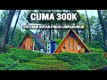 Download Lagu BARU BUKA | COTTAGE HUTAN PINUS LIMPAKUWUS | BATURRADEN | PURWOKERTO