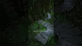 أيام ثقال ولكن لطف الله 