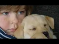 Dog years - Aidan Jones