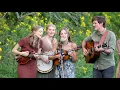 Download Lagu Shenandoah - The Petersens (LIVE)