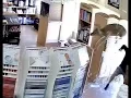 Deer jumps through glass window Into The Store