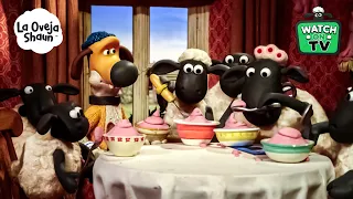 ¡ESTO ES LO MEJOR QUE HE COMIDO EN MI VIDA! 😋🍰🐑 | La Oveja Shaun (Dibujos Animados Para Niños)