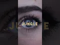 Fred Again - Jungle (Adriatique Remix) (Official Visualiser)