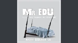 akekh ozolala la feat dj steavy boy sizwe sigudhla