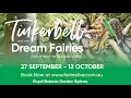 Lagu Tinkerbell and the Dream Fairies | Royal Botanic Gardens Sydney
