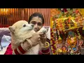 Download Lagu Special vlog ￼🙏🏻￼ ganpati visarjan￼ Aaj hoga 😢