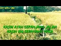 Download Lagu Kasih ayah sepanjang jalan kasih ibu sepanjang masa