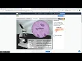 Cell Type Gizmos Overview