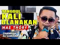 Download Lagu TANGGUL KALI BLANAKAN || MAS THORY || D NIRWANA - ALI GANGGA
