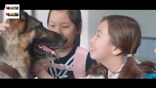 he can hear animals this changes everything movie explained mr zoo the missing vip 2020 