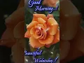 Good Morning Happy Wednesday