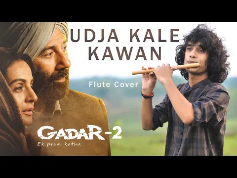 Download MP3 Udd Jaa Kaale Kaava | Gadar 2 | Flute Cover | Instrumental | Divyansh Shrivastava |