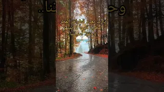 المطر حالات واتس هادئة مطر شتاء 