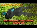Download Lagu Mengerikan! Kang Farhan Ditemukan, Badannya Biru semuanya!#purwamisteri  #botcrmisteri 