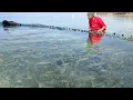 Download Lagu menangkap Ribuan Ikan buat makan sekampung