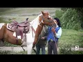 Download Lagu First Native-Led Equine Air Scent Search and Rescue Team launches on Blackfeet Reservation