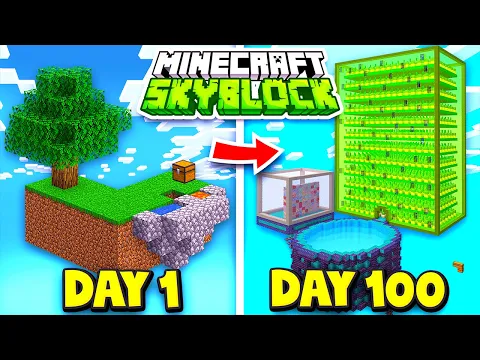 Minecraft server video for NeoNetwork