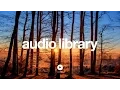 Download Lagu Acoustic Folk Instrumental – Hyde - Free Instrumentals (No Copyright Music)