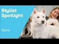Pet Grooming Stories Gloria s Groomer Spotlight