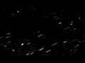 Download Lagu 4K Snow Overlay Free Download | Snow Falling Overlay Free Download | #Snow #Overlays #Snowoverlays